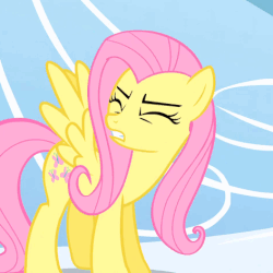Size: 472x472 | Tagged: safe, screencap, fluttershy, pegasus, pony, g4, season 1, sonic rainboom (episode), animated, cloudsdale, cropped, cute, eyes closed, female, head shake, shyabetes, solo, standing