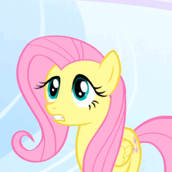 Size: 404x404 | Tagged: safe, edit, edited screencap, screencap, fluttershy, pegasus, pony, g4, sonic rainboom (episode), animated, blinking, cloudsdale, cropped, cute, female, folded wings, frown, looking up, mare, open mouth, rawr, shyabetes, solo, text