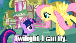 Size: 960x541 | Tagged: safe, edit, edited screencap, screencap, fluttershy, twilight sparkle, g4, captain obvious, duo, image macro, meme