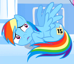 Size: 563x486 | Tagged: safe, screencap, rainbow dash, pegasus, pony, g4, sonic rainboom (episode), animated, cowering, cropped, female, scared, solo