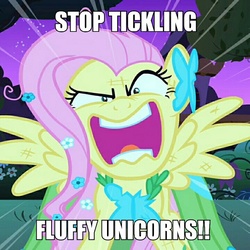 Size: 640x640 | Tagged: safe, fluttershy, fluffy pony, g4, fluffy, image macro, meme, you're going to love me