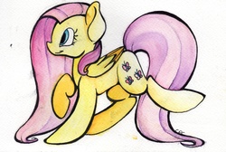 Size: 4835x3251 | Tagged: safe, artist:cutepencilcase, fluttershy, g4, female, folded wings, high res, looking at something, raised hoof, simple background, solo, traditional art