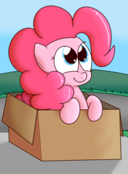 Size: 1133x1541 | Tagged: safe, artist:mr-degration, pinkie pie, earth pony, pony, g4, box, female, pony in a box, solo