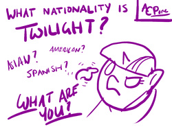 Size: 1024x768 | Tagged: safe, artist:a certain pone, twilight sparkle, g4, nationality, question