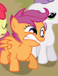 Size: 294x383 | Tagged: safe, screencap, apple bloom, scootaloo, sweetie belle, pegasus, pony, unicorn, g4, one bad apple, animated, faic, female, filly, gif, gritted teeth, shifty eyes