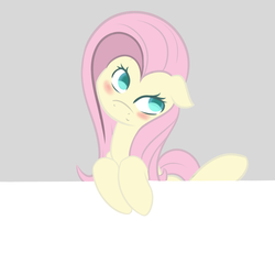 Size: 2000x2000 | Tagged: safe, artist:notten1, fluttershy, g4, blushing, cute, female, happy, head tilt, high res, looking at you, shyabetes, simple background, solo