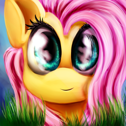 Size: 2000x2000 | Tagged: dead source, safe, artist:ferasor, fluttershy, pony, g4, female, high res, looking at you, portrait, solo
