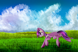 Size: 1748x1181 | Tagged: safe, artist:infernal69, oc, oc only, oc:moonlight blossom, pegasus, pony, cloud, female, field, flower, flower in hair, grass, mare, sky, smiling, solo, tail band, trotting, underhoof