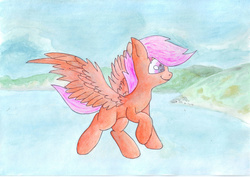 Size: 4677x3307 | Tagged: safe, artist:pzkratzer, scootaloo, pony, g4, female, flying, ocean, solo, traditional art, watercolor painting