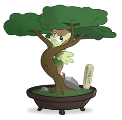 Size: 4416x4344 | Tagged: safe, artist:icaron, oc, oc only, oc:saga, pegasus, pony, absurd resolution, bonsai, fused legs, plant tf, potted plant, show accurate, simple background, solo, story included, transformation, transparent background, tree, what has magic done