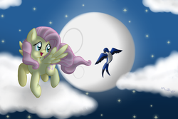 Size: 3000x2000 | Tagged: safe, artist:vcm1824, fluttershy, bird, g4, flying, high res, moon, night