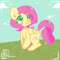 Size: 600x600 | Tagged: safe, fluttershy, pegasus, pony, g4, female, mare, solo