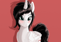 Size: 1268x868 | Tagged: safe, oc, oc only, oc:eaststern, oc:princess eaststern, alicorn, pony, alicorn oc, black mane, black tail, blushing, female, frown, horn, red background, shadow, simple background, solo, textured background, white fur, wings