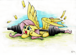 Size: 2000x1455 | Tagged: safe, artist:ecmonkey, fluttershy, pegasus, pony, g4, adorable distress, barbell, cute, feather, female, floppy ears, mare, open mouth, pinned, pinned down, prone, solo, spread wings, struggling, three quarter view, weights, wings, yelling