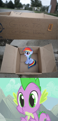 Size: 488x1015 | Tagged: safe, rainbow dash, spike, dragon, pegasus, pony, fanfic:my little dashie, g4, dashie meme, exploitable meme, meme