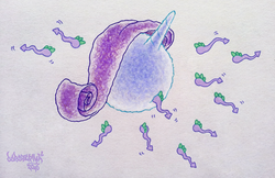 Size: 1280x828 | Tagged: safe, artist:dubstepina, rarity, spike, g4, an egg being attacked by sperm, crossbreeding, egg cell, female, implied sex, impregnation, male, personified egg cell, personified spermatozoon, ship:sparity, shipping, spermatozoon, straight, wat