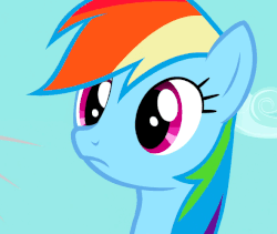 Size: 590x497 | Tagged: safe, screencap, rainbow dash, pegasus, pony, g4, may the best pet win, season 2, animated, blinking, bust, cute, dashabetes, female, flapping, flapping wings, flying, gif, head tilt, mare, solo, wings