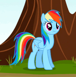 Size: 401x405 | Tagged: safe, screencap, rainbow dash, g4, may the best pet win, animated, blinking, female