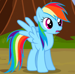 Size: 590x585 | Tagged: safe, screencap, rainbow dash, g4, may the best pet win, animated, blinking, cute, dashabetes, female, gif, stare