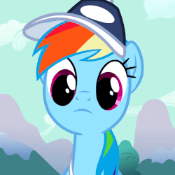 Size: 599x599 | Tagged: safe, screencap, rainbow dash, pony, g4, may the best pet win, animated, blinking, female, hat