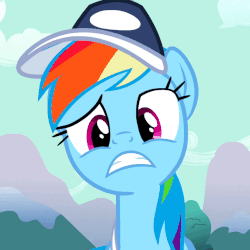 Size: 599x599 | Tagged: safe, screencap, rainbow dash, g4, may the best pet win, animated, blinking, female, gif, hat