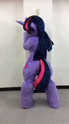 Size: 600x1070 | Tagged: safe, artist:tashiroyu, twilight sparkle, human, g4, fursuit, irl, irl human, photo, twibutt