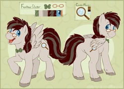 Size: 1428x1025 | Tagged: safe, artist:spagglemutt, oc, oc only, oc:feather duster, reference sheet