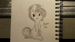 Size: 1280x720 | Tagged: safe, artist:tjpones, oc, oc only, oc:brownie bun, earth pony, pony, horse wife, cheek fluff, chest fluff, ear fluff, female, grayscale, mare, monochrome, photo, sitting, solo, traditional art