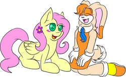 Size: 1862x1144 | Tagged: safe, artist:sparkle-the-cat-13, fluttershy, g4, cream the rabbit, crossover, sonic the hedgehog (series)