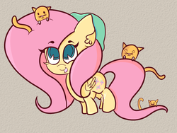 Size: 960x720 | Tagged: safe, artist:hedgehog-plant, fluttershy, cat, pegasus, pony, g4, female, mare, solo