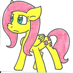 Size: 540x545 | Tagged: safe, artist:cmara, fluttershy, g4, female, solo, traditional art