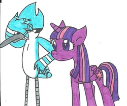 Size: 838x700 | Tagged: safe, artist:cmara, twilight sparkle, alicorn, pony, g4, crossover, female, male, mare, mordecai, regular show, traditional art, twilight sparkle (alicorn)