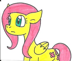 Size: 568x463 | Tagged: safe, artist:cmara, fluttershy, g4, female, solo, traditional art