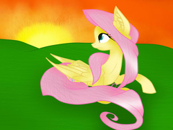 Size: 800x600 | Tagged: safe, artist:blackmoonloveyou, fluttershy, g4, female, prone, solo, sunset