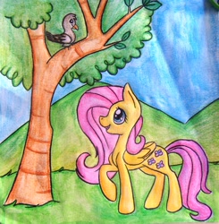 Size: 3382x3456 | Tagged: safe, artist:twixyamber, fluttershy, bird, g4, female, high res, solo, traditional art, tree