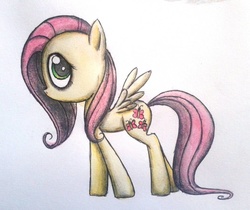 Size: 1072x899 | Tagged: safe, artist:xxpinkamena-piexx, fluttershy, g4, female, looking at you, no mouth, profile, simple background, solo, spread wings, standing, white background