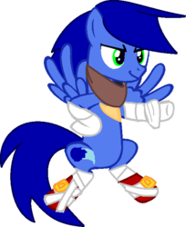 Size: 526x644 | Tagged: safe, artist:firepony-bases, artist:shanics, pony, base used, male, ponified, simple background, solo, sonic boom, sonic the hedgehog, sonic the hedgehog (series), transparent background