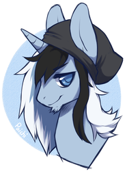 Size: 500x672 | Tagged: safe, artist:paichitaron, oc, oc only, oc:taylorpone, beanie, bust, colored pupils, hat, male, solo