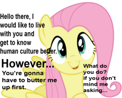 Size: 900x725 | Tagged: safe, fluttershy, g4, bronybait, cute, image macro, meme, text