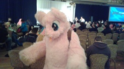 Size: 2048x1152 | Tagged: safe, oc, oc only, oc:fluffle puff, pony, unicorn, pink fluffy unicorns dancing on rainbows, best pony, clothes, cosplay, costume, fursuit, irl, loving pony, mascot, photo, pink, ponycon