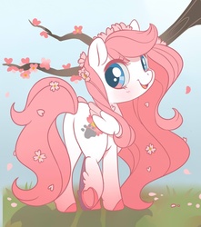 Size: 800x903 | Tagged: safe, artist:parfywarfy, oc, oc only, oc:sakura, pegasus, pony, cherry blossoms, female, flower, flower blossom, mare, smiling, solo