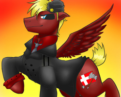 Size: 1000x800 | Tagged: safe, artist:animecreator, pony, denmark, hetalia, ponified, solo