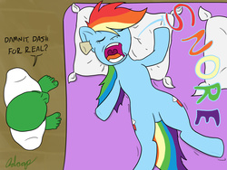 Size: 2400x1800 | Tagged: safe, artist:php73, rainbow dash, oc, oc:anon, human, g4, sleeping, snoring