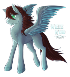 Size: 1000x1100 | Tagged: safe, artist:flyremoon, oc, oc only, oc:white wind, solo
