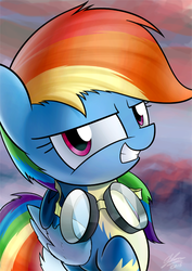 Size: 429x607 | Tagged: safe, artist:dori-to, part of a set, rainbow dash, pony, g4, female, goggles, grin, solo, wonderbolts uniform