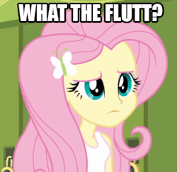 Size: 404x393 | Tagged: safe, artist:tjpones, screencap, fluttershy, equestria girls, g4, animated, caption, female, reaction image, solo, wtf