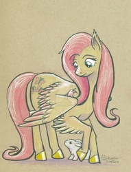 Size: 1024x1338 | Tagged: safe, artist:moviedragon009v2, angel bunny, fluttershy, pegasus, pony, rabbit, g4, colored hooves, duo, elbow fluff, female, looking at something, looking down, mare, spread wings, traditional art, watermark, wings