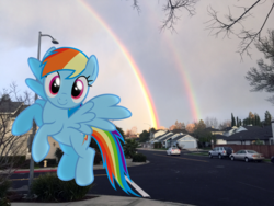 Size: 3264x2448 | Tagged: safe, artist:greenmachine987, rainbow dash, g4, car, cute, dashabetes, double rainbow, floating, happy, high res, houses, irl, photo, ponies in real life, rainbow, smiling, solo, street, streetlight, triple rainbow, vector