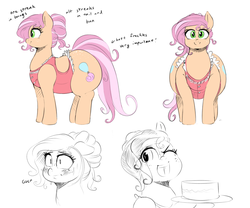 Size: 1000x833 | Tagged: dead source, safe, artist:sirmasterdufel, oc, oc only, oc:claire, earth pony, pony, blushing, cake, chubby, fat, food, freckles, large butt, plot, reference sheet, solo, wink