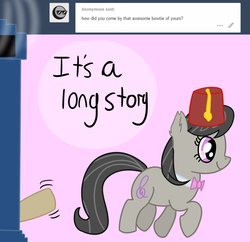 Size: 1118x1080 | Tagged: safe, artist:pastelhorses, doctor whooves, octavia melody, time turner, earth pony, pony, g4, anonymous, ask, bowtie, crossover, doctor who, male, stallion, trotting, tumblr